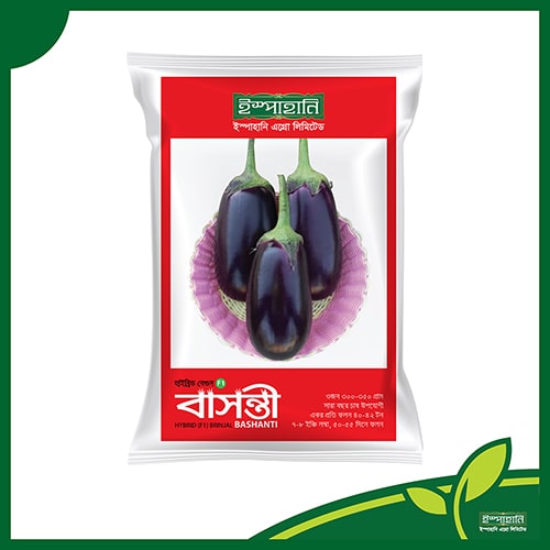 বেগুন (বাসন্তী) — ১ গ্রাম