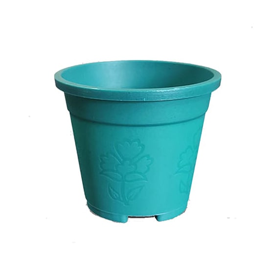৬ ইঞ্চি রাউন্ড প্লান্টার