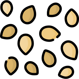 বীজ