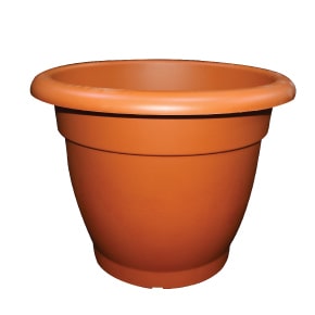 ২২ ইঞ্চি ইকো