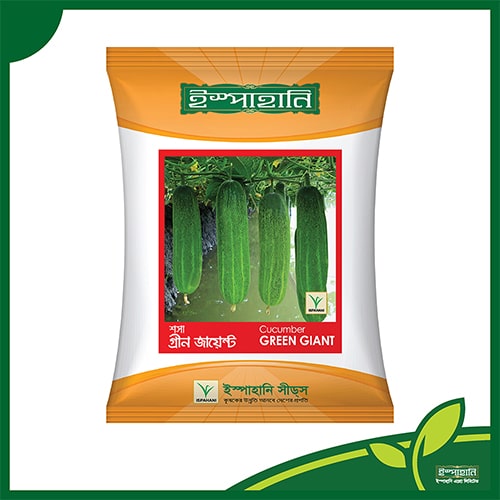 শসা (গ্রীন জায়েন্ট) — ১০ গ্রাম