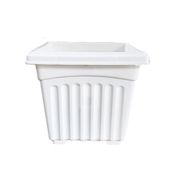 ১০ ইঞ্চি খানদানী (সাদা)